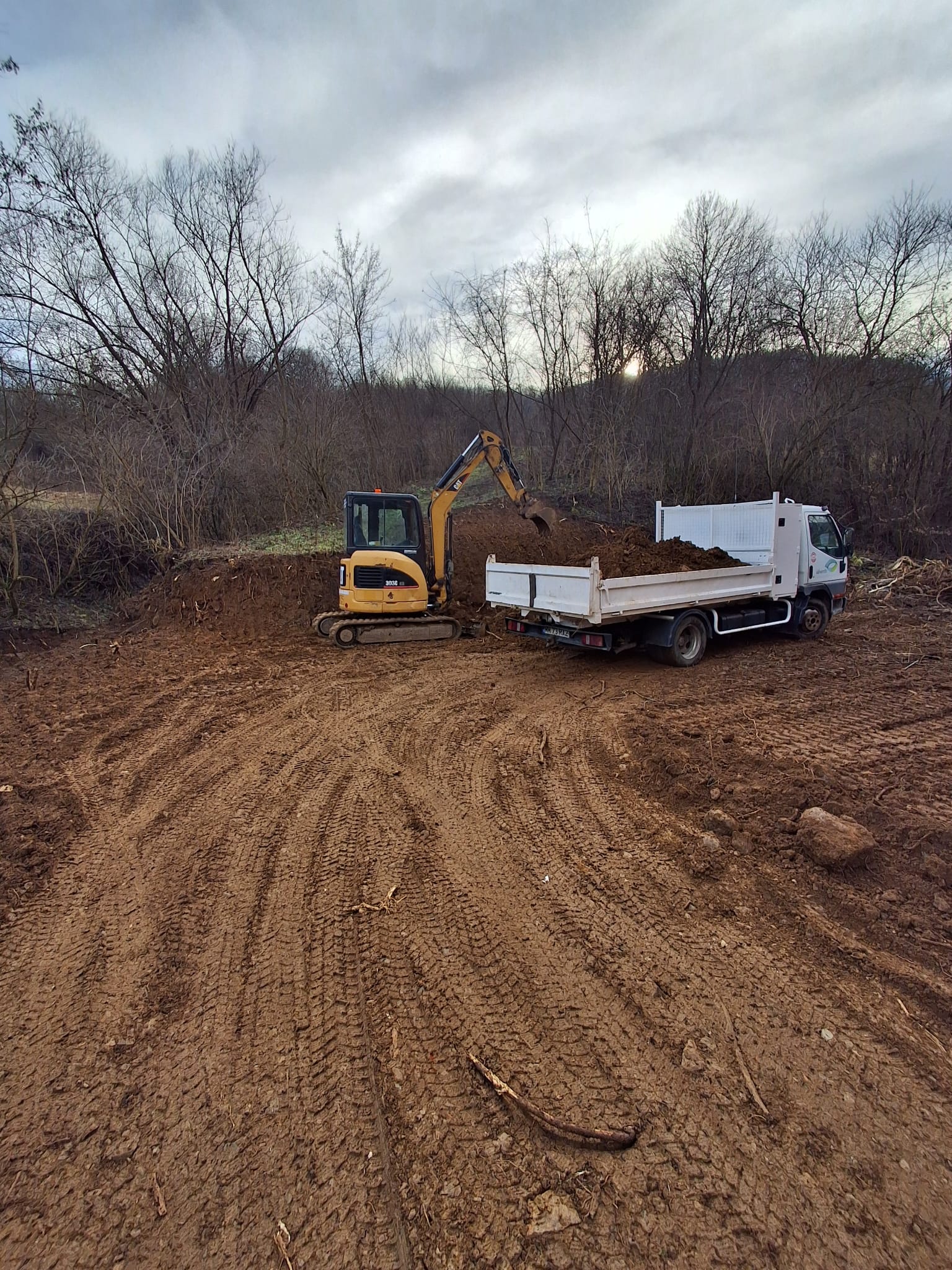 Excavator si basculanta - transport pamant Cluj