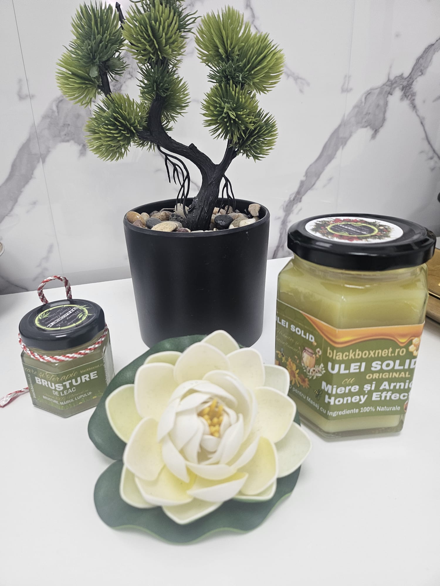 Salon Luxy Beauty